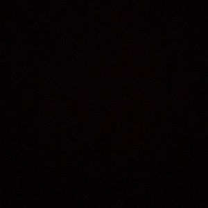 Meet your Posher, Elisa